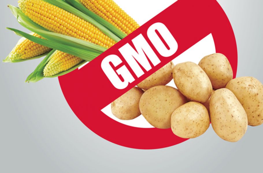 Відтепер на Херсонщині визначають вміст  генетично модифікованих організмів (ГМО) в харчових продуктах, сировині та кормах
