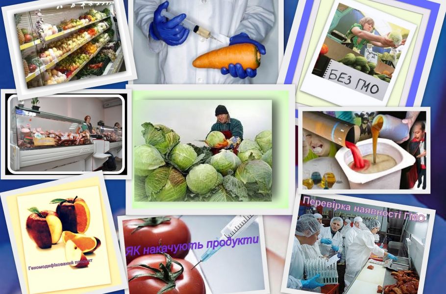 Відтепер на Херсонщині з'явилася можливість визначати генетично модифіковані організми (ГМО) в харчових продуктах, сировині та кормах